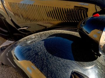Shampoo Detailing - Mobile Service